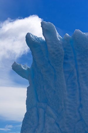 Cuverville Island, Antarctica 074.jpg